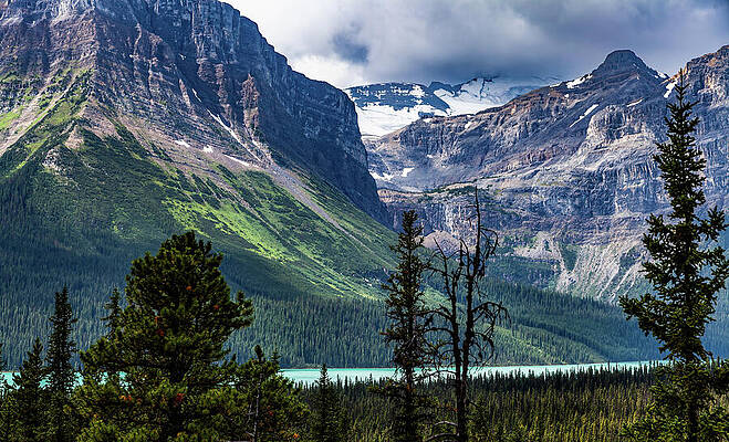 Photograph - Bow Lake Viewpoint Icefield Parkway Canada by Tommy Farnsworth