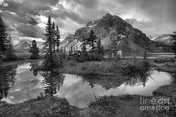 Mountain Wall Art featuring the photograph Bow Lake Wetlands Reflections Black And White by Adam Jewell