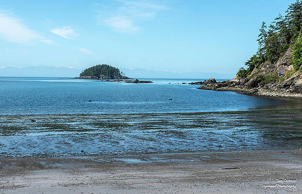 Beach Photograph - Bowman Bay Beach And Deception Island by Tom Cochran