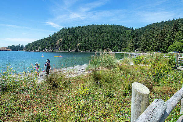 Beach Photograph - Bowman Bay Beach Walkers by Tom Cochran