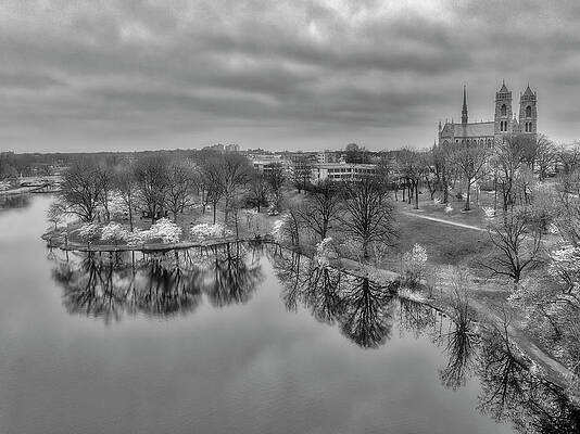 Wall Art featuring the photograph Branch Brook Cherry Blossoms Aerial BW by Susan Candelario