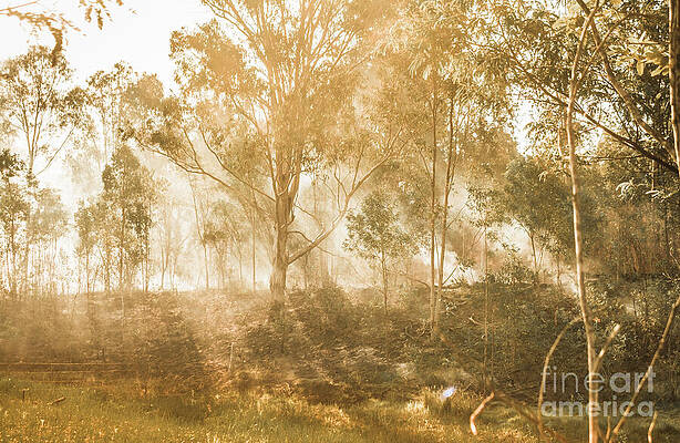 Wall Art featuring the photograph Branch Creek Magic by Jorgo Photography