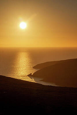 Water Wall Art featuring the photograph Brassy Bulls Head by Mark Callanan