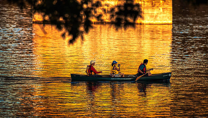 Summer Photograph - Breaking The Gold Space by Tatiana Travelways