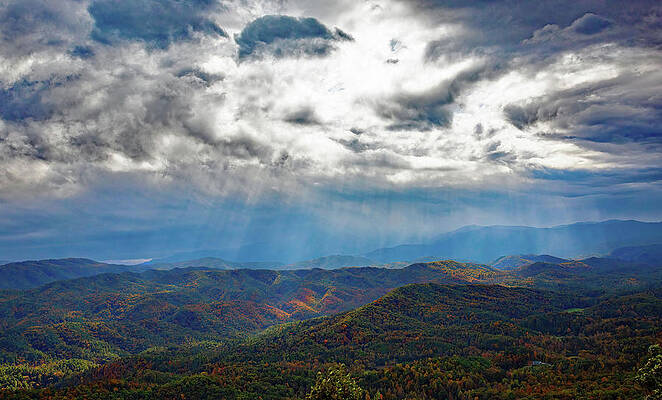 Wall Art featuring the photograph Breaking Through by Gina Fitzhugh