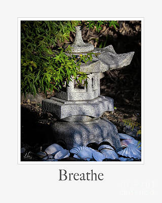 Wall Art featuring the photograph Breathe by D Lee