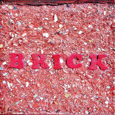 Wall Art featuring the photograph Brick by Onedayoneimage Photography