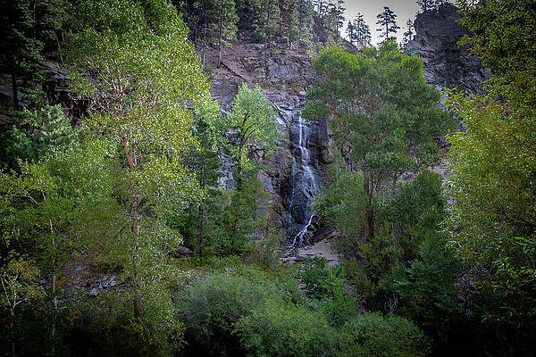 Waterfall in Forested Mountains Photograph