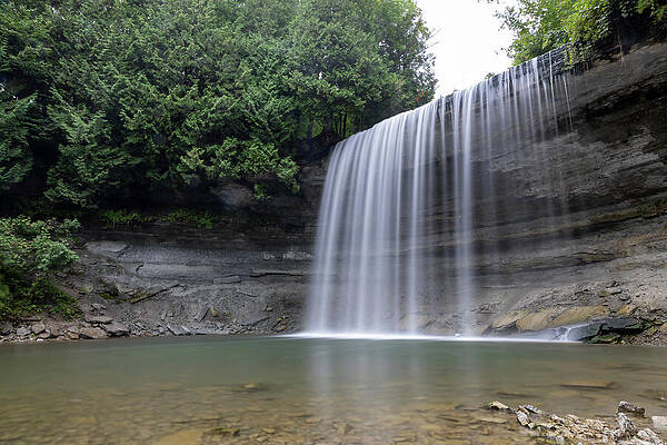 Serene Cascade by Forest Photograph