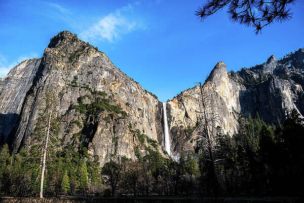 California Wall Art featuring the photograph Bridalveil Fall by Diane Moller