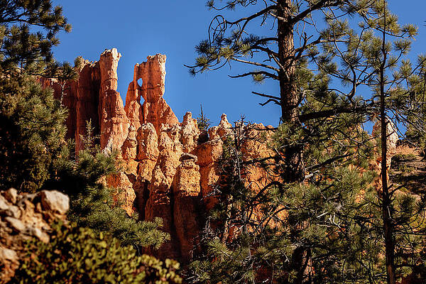 Rock Wall Art featuring the photograph Bridge In The Sky by Craig A Walker