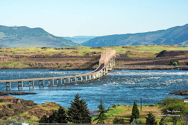 Oregon Wall Art featuring the photograph Bridge Over Troubled Water by Tom Cochran