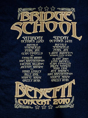 Wall Art featuring the photograph Bridge School Benefit B by Joe Schofield