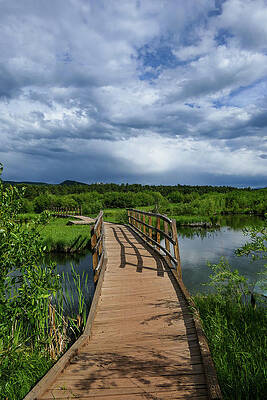 Bridge to Lush Green by Sunniye Buesing