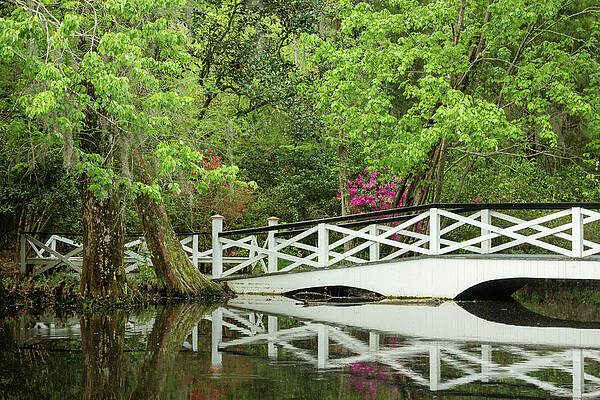 Reflection Photograph - Bridge With Reflection 2 by Cindy Robinson