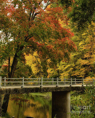 Autumn Bridge in Forest Wall Art