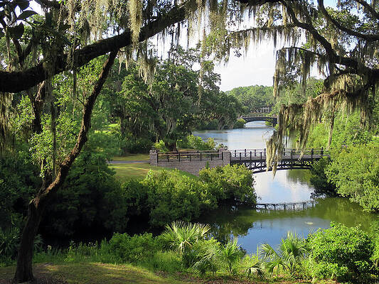 Bridges Over Tranquil Waters by Rick Locke - Out of the Corner of My Eye