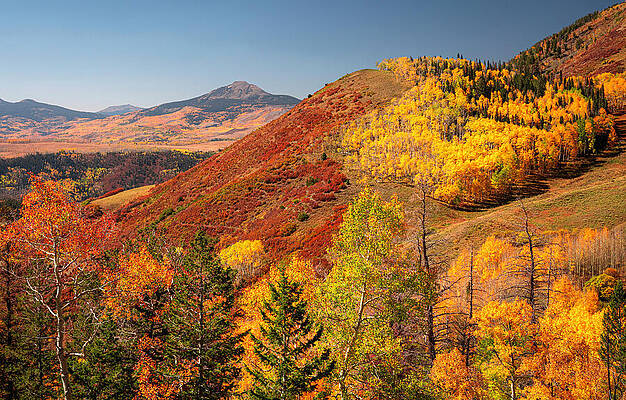 Wall Art featuring the photograph Brilliant Autumn Colors Colorado by Dan Sproul