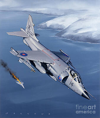 Airplane Wall Art featuring the painting British Aerospace Sea Harrier by Jack Fellows
