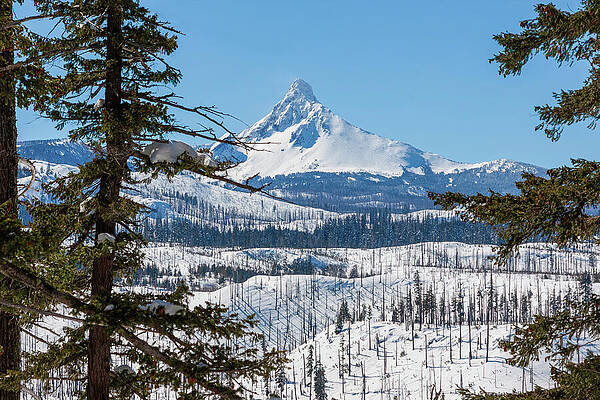 Winter Wall Art featuring the photograph Broken Top Sister Mountain, Oregon, Winter by Tatiana Travelways