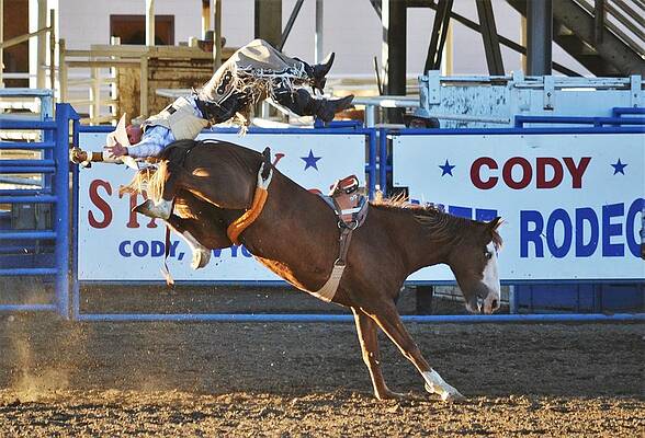 Cowboy Wall Art featuring the photograph Bronc #1 by Alden White Ballard