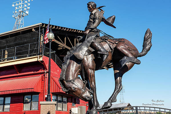 Photograph - Pendleton Bronc Rider by Tom Cochran