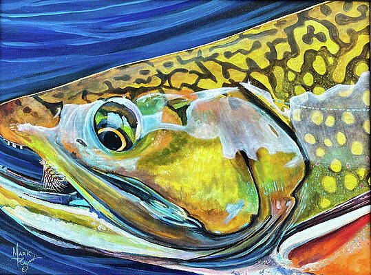 Brook Trout Print