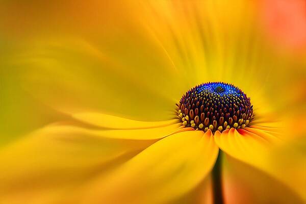 Summer Wall Art featuring the digital art Brown Eyed Fantasy by Ursula Abresch