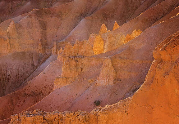 Dramatic Wall Art featuring the photograph Bryce Canyon Detail by Jean Noren