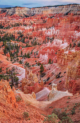 Canyon Photograph - Bryce Canyon Hoodoos, Utah - Vertical by Abbie Warnock