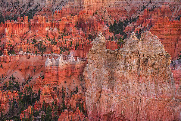 Scenic Photograph - Bryce Canyon Layers, Utah by Abbie Warnock
