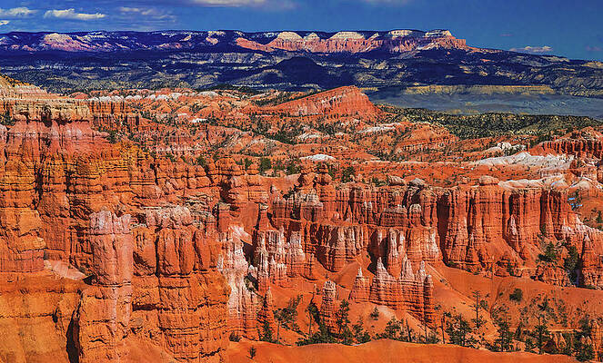 Beautiful Photograph - Bryce Canyon Overlook, Utah by Abbie Warnock