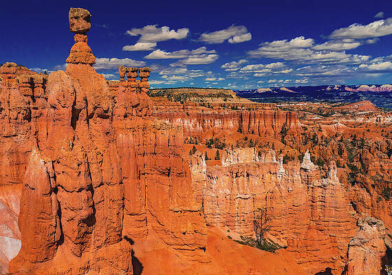 Beautiful Photograph - Bryce Canyon - Thors Hammer And Blue Sky, Utah by Abbie Warnock