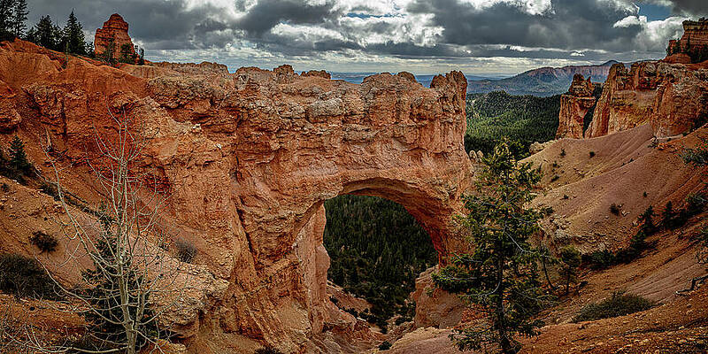 Natural Stone Archway in Canyon Wall Art