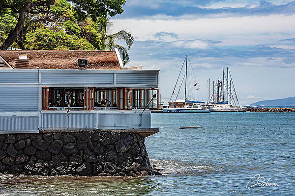 Sky Wall Art featuring the photograph Bubba's And The Harbor by Charlie Osborn