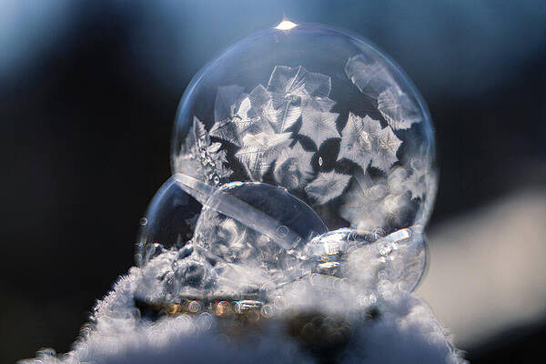 Wall Art featuring the photograph Bubble by Robert Niemeier