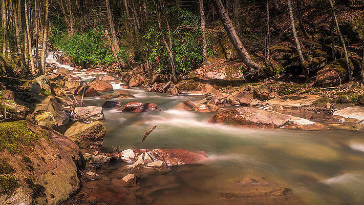 Light Wall Art featuring the photograph Buck Mountain Creek In April by Jason Fink