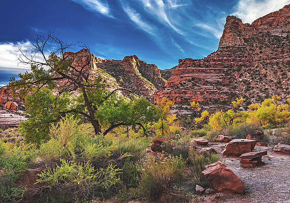 Beautiful Photograph - Buckhorn Draw Color, Utah by Abbie Warnock