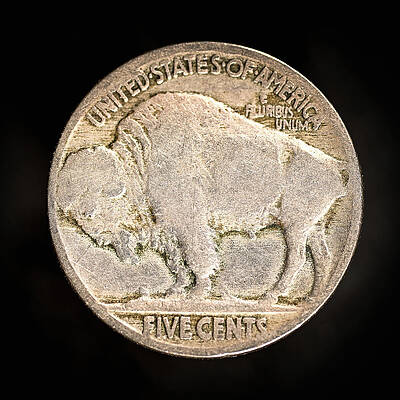 Wall Art featuring the photograph Buffalo Nickel Reverse by Steven Nelson