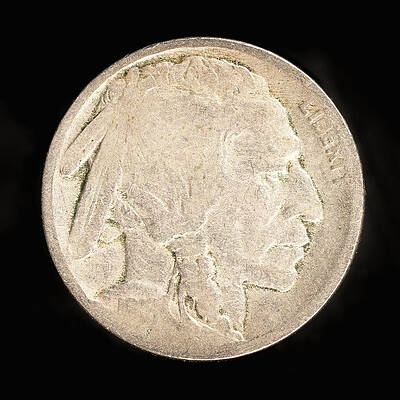 Photograph - Buffalo Nickel by Steven Nelson