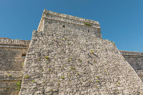 Greenery Photograph - Building History by Nova Rae