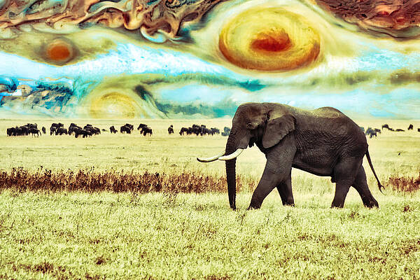 Sky Digital Art - Bull Elephant Under Jupiter Sky by Bruce Block