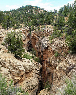 Bull Valley Gorge by Joe Schofield