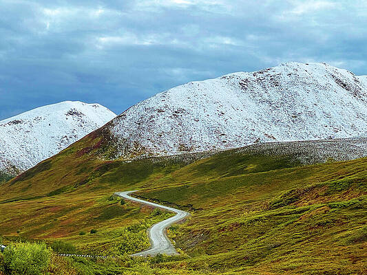 Serene Wall Art featuring the photograph Bunt Cake by Harry Banks