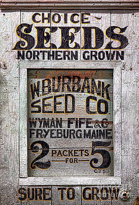 Wall Art featuring the photograph Burbank Seeds Sign by Olivier Le Queinec