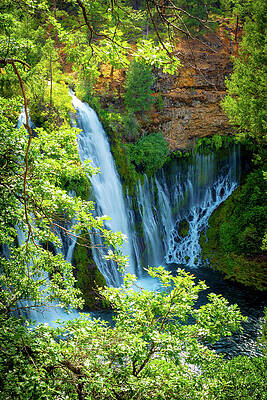 Wall Art featuring the photograph Burney Falls by Carla E