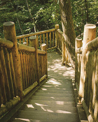 Nature Wall Art featuring the photograph Bushkill Falls - Stairs by Jason Fink