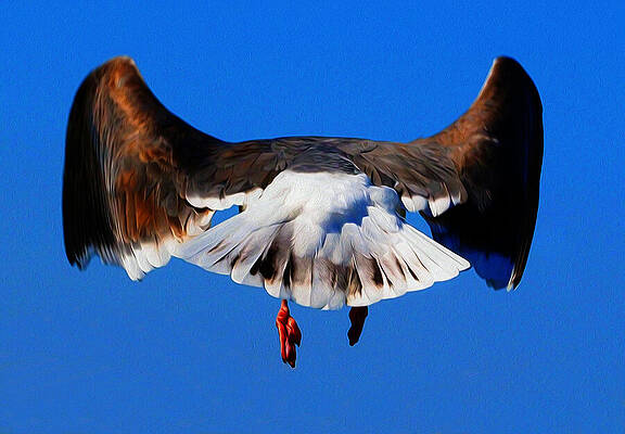 Wall Art featuring the photograph Business End by Joe Schofield