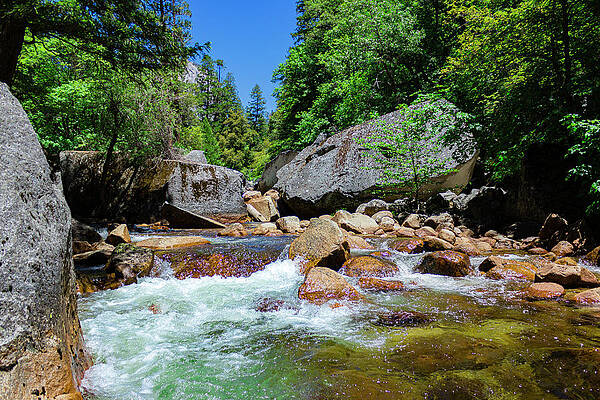 Water Photograph - Busy Stream by David Fountain