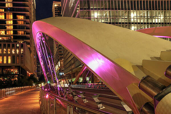 Wall Art featuring the photograph Butterfly Bridge by Rick Perkins